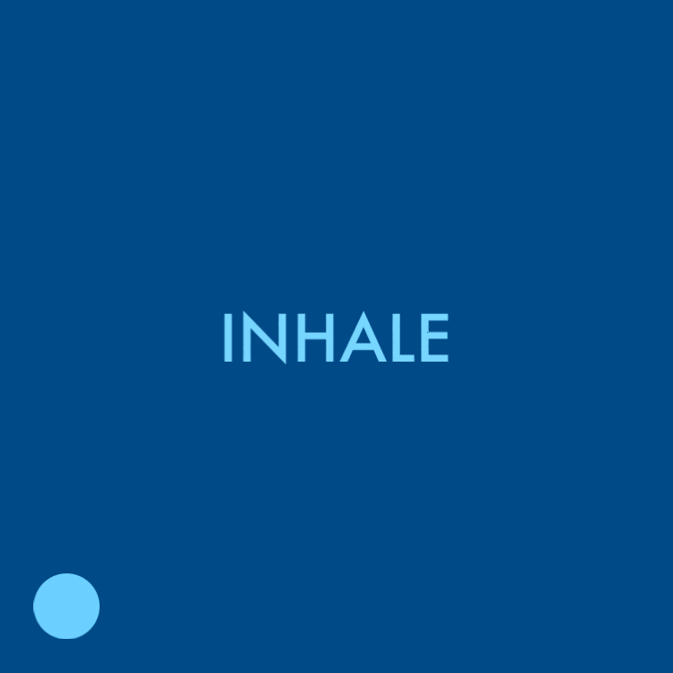 light blue circle moving along the edges of a square, with breathing steps in the centre