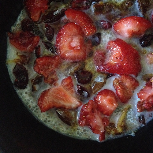 Chia Seed Porridge